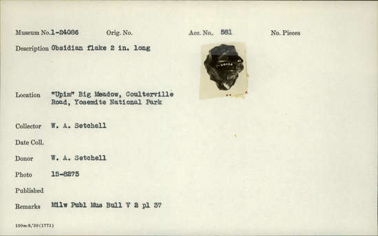 Documentation associated with Hearst Museum object titled Flake, accession number 1-24086, described as Obsidian flake