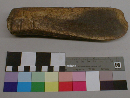 Hearst Museum object titled Wedge, accession number 1-11747, described as Elk antler, straight; polished from usage.