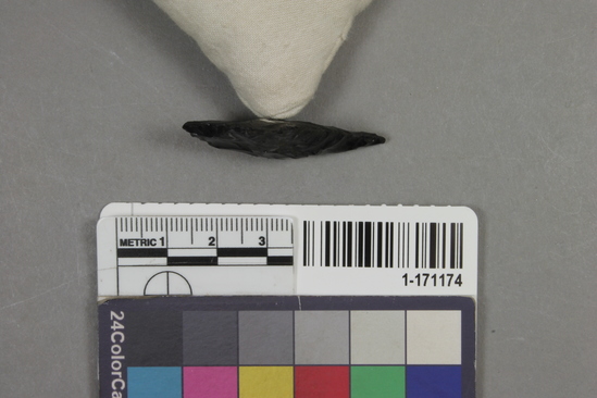 Hearst Museum object titled Point, accession number 1-171174, described as obsidian blade or point, angular