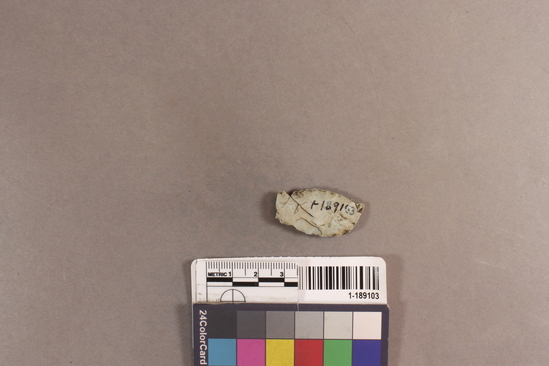Hearst Museum object 2 of 2 titled Projectile point fragment, accession number 1-189103, described as chert projectile point frag.; mid-section only