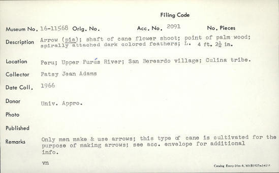 Documentation associated with Hearst Museum object titled Arrow, accession number 16-11568, described as Arrow ("pia"); shaft of cane flower shoot; point of palm wood; spirally attached dark colored feathers; length 4 feet 2½ inches.