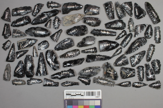 Hearst Museum object titled Projectile point fragments, accession number 1-84671, described as projectile point fragments, obsidian