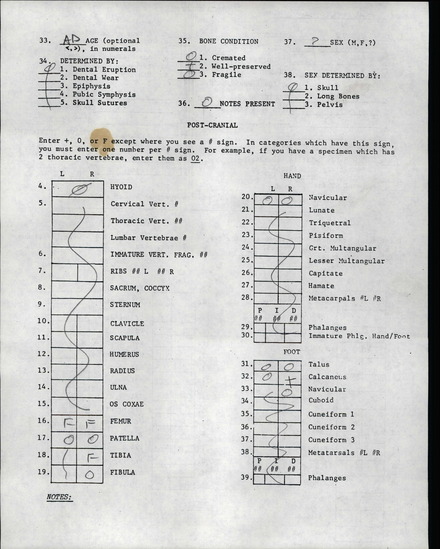 Documentation associated with Hearst Museum object titled Human remains, accession number 12-8461, described as Bone fragments