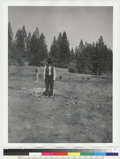 Hearst Museum object titled Black-and-white negative, accession number 15-2743, described as Old Pedro with wooden tongs for handling hot rocks