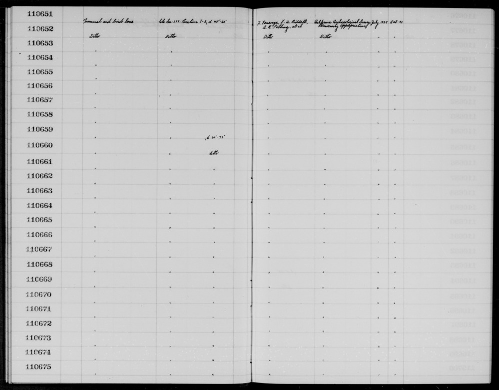 Documentation associated with Hearst Museum object titled Faunal remains, accession number 1-110658, described as Mammal and bird.