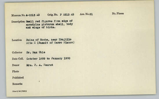 Documentation associated with Hearst Museum object titled Figures, accession number 4-2313b, described as Small red figures from edge of Spondylus pictorum shell, body and wings of birds.