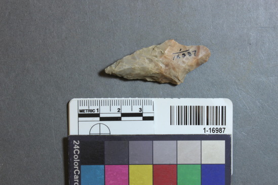 Hearst Museum object 26 of 28 titled Points, accession number 1-16987, described as Chipped points of flint, chert, etc.