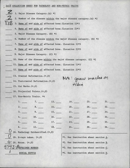 Documentation associated with Hearst Museum object titled Human remains, accession number 12-8743A, described as The remains of an adult female.