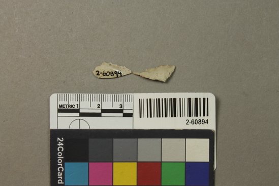 Hearst Museum object titled Projectile point, accession number 2-60894, described as 2 distal fragments of  unidentified projectile points found in screened material