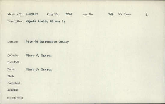 Documentation associated with Hearst Museum object titled Tooth, accession number 1-59107, described as Coyote