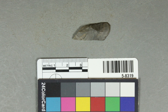 Hearst Museum object 4 of 25 titled Flakes, accession number 5-8319, described as Chert flakes