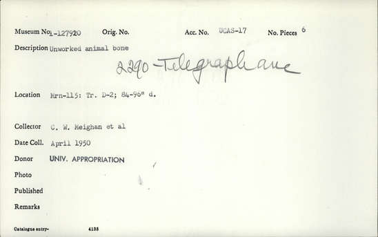 Documentation associated with Hearst Museum object titled Faunal remains, accession number 1-127920, described as 7 bone fragments; unworked. Notice: Image restricted due to its potentially sensitive nature. Contact Museum to request access.