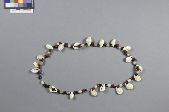 Hearst Museum object titled Beads, accession number 11-37013, described as Shells and seeds strung as beads; cowrie shells, jobs tears and other seeds; grey, brown, and cream.