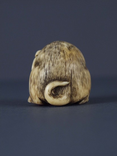 Hearst Museum object 3 of 4 titled Netsuke, accession number 9-7484, described as Netsuke: puppy with head between his paws. Wears ribbon collar. Notice: Image restricted due to its potentially sensitive nature. Contact Museum to request access.