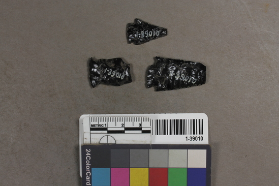 Hearst Museum object titled Projectile points, accession number 1-39010, described as Obsidian.