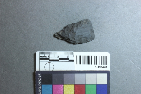 Hearst Museum object titled Point, accession number 1-197478, described as Basalt projectile