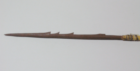 Hearst Museum object titled Arrow, accession number 16-396, described as Arrow, barbed hardwood point, cane shaft, no feathers.