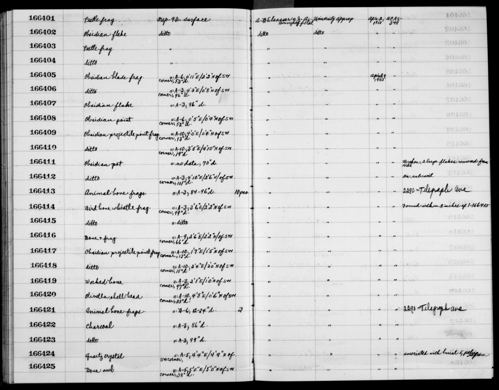 Documentation associated with Hearst Museum object titled Humerus, l, accession number 1-166413.3, no description available.