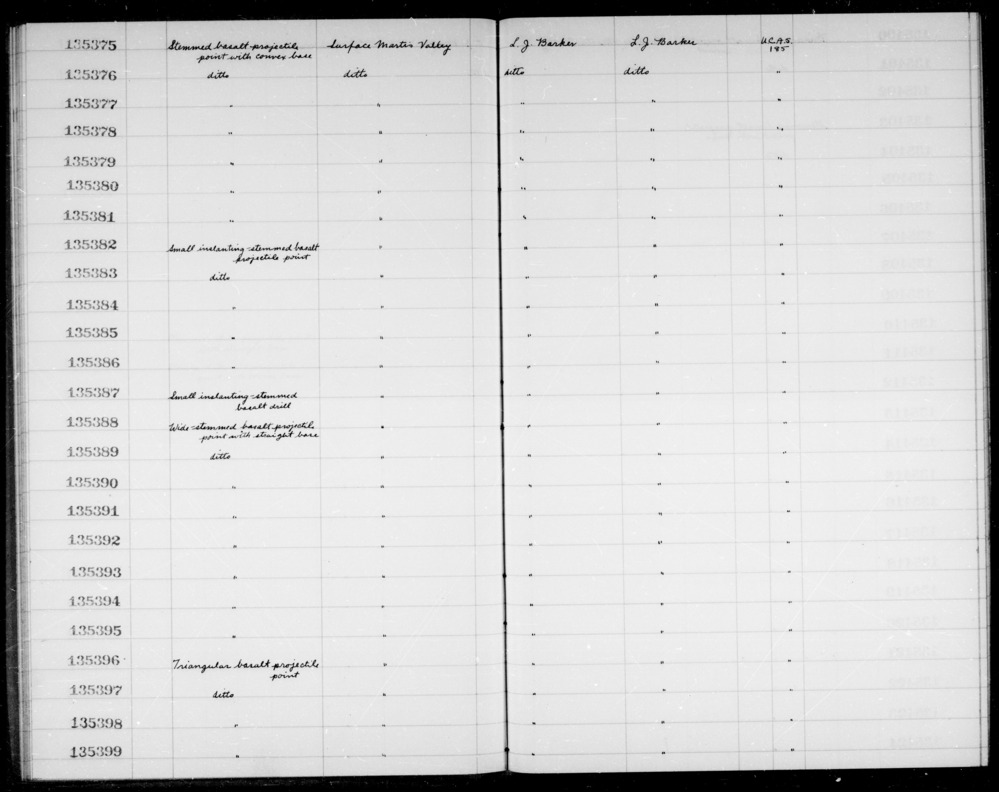 Documentation associated with Hearst Museum object titled Drill, accession number 1-135387, described as Drill; small, inslanting, stemmed, of basalt.