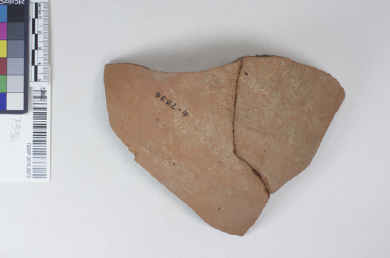 Hearst Museum object titled Jar fragment, accession number 6-7336, described as potsherd: brown jar fragment