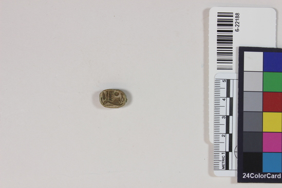 Hearst Museum object titled Scarab, accession number 6-22188, described as scarab, glaze nearly gone; length 15 mm