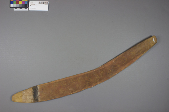 Hearst Museum object titled Boomerang, accession number 11-40783, described as Boomerang-decorated; engraved on both faces with bird tracks; red painted body with yellow, black, white painted tip; used for hunting, occasionally fighting.