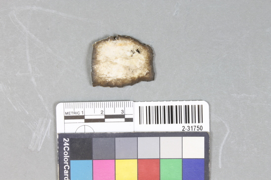 Hearst Museum object titled Point fragment, accession number 2-31750, described as Chert.