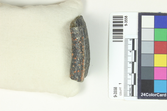 Hearst Museum object titled Potsherd, accession number 9-3558, described as Potsherd, rim fragment