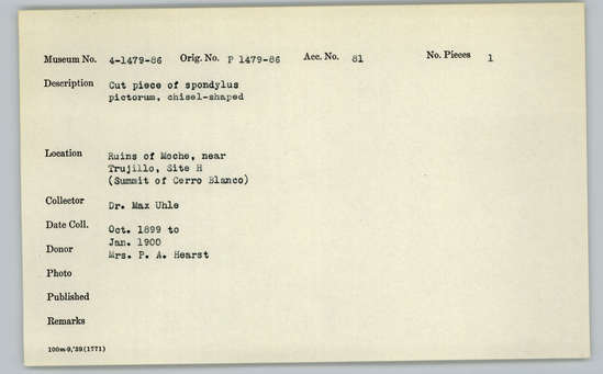 Documentation associated with Hearst Museum object titled Worked shell, accession number 4-1485, described as Cut piece of Spondylus pictorum, chisel-shaped.