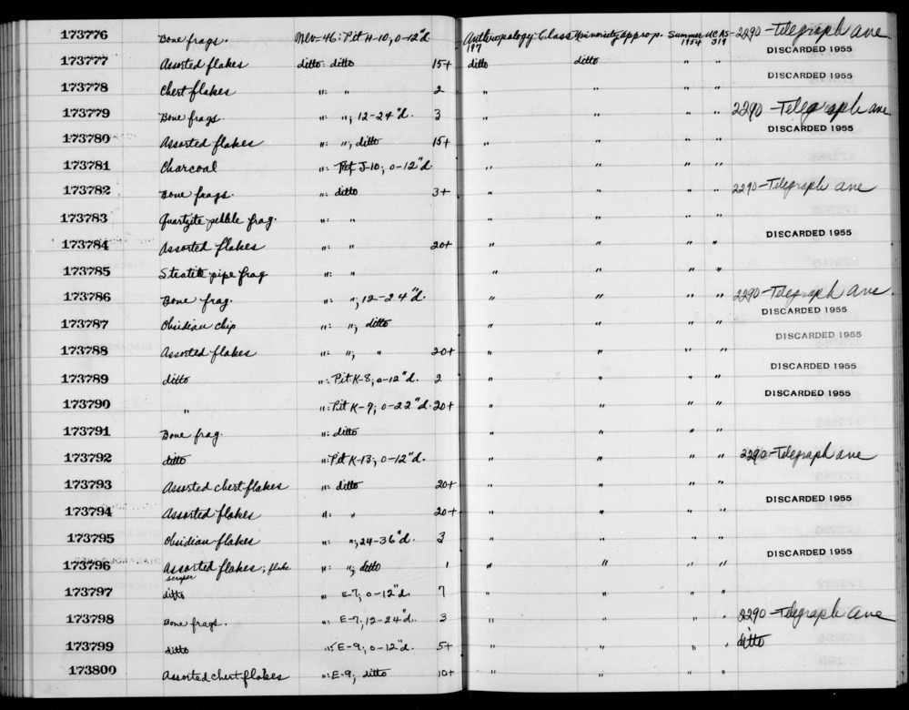 Documentation associated with Hearst Museum object titled Assorted flakes, accession number 1-173797, described as Assorted flakes.