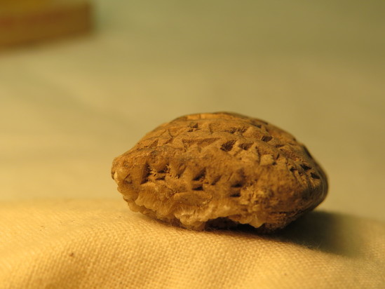 Hearst Museum object 72 of 86 titled Cuneiform tablet, accession number 9-3051, described as Mesopotamian cuneiform tablet