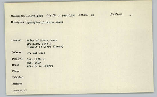 Documentation associated with Hearst Museum object titled Shell, accession number 4-1883, described as Spondylus pictorum shell.