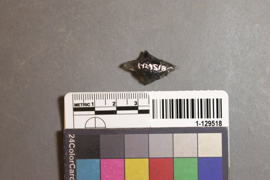 Hearst Museum object titled Projectile point, accession number 1-129518, described as Obsidian projectile point.