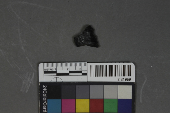 Hearst Museum object titled Point fragment, accession number 2-31969, described as Obsidian.