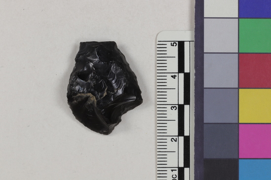 Hearst Museum object titled Flake fragment, accession number 16-14384, described as Projectile point fragment; obsidian; triangular; weight: 6.0 grams; length: 3.0 cm; width: 2.4 cm; depth: 0.9 cm; slight convex sides.