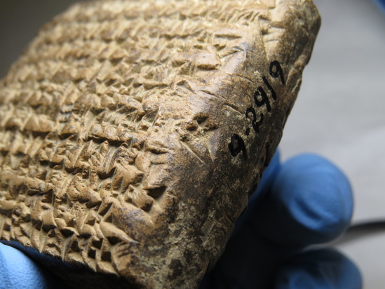 Hearst Museum object 157 of 187 titled Cuneiform tablet, accession number 9-2919, described as Mesopotamian cuneiform tablet