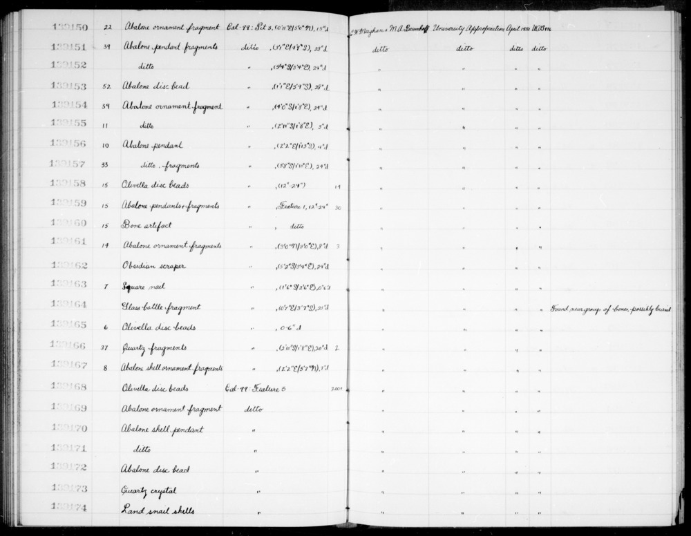 Documentation associated with Hearst Museum object titled Shell, accession number 1-139174, described as Land snail