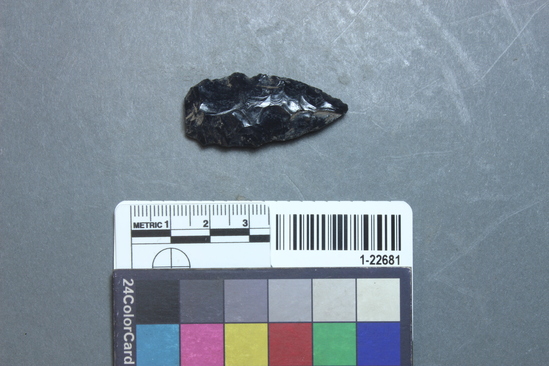 Hearst Museum object titled Point, accession number 1-22681, described as Obsidian point