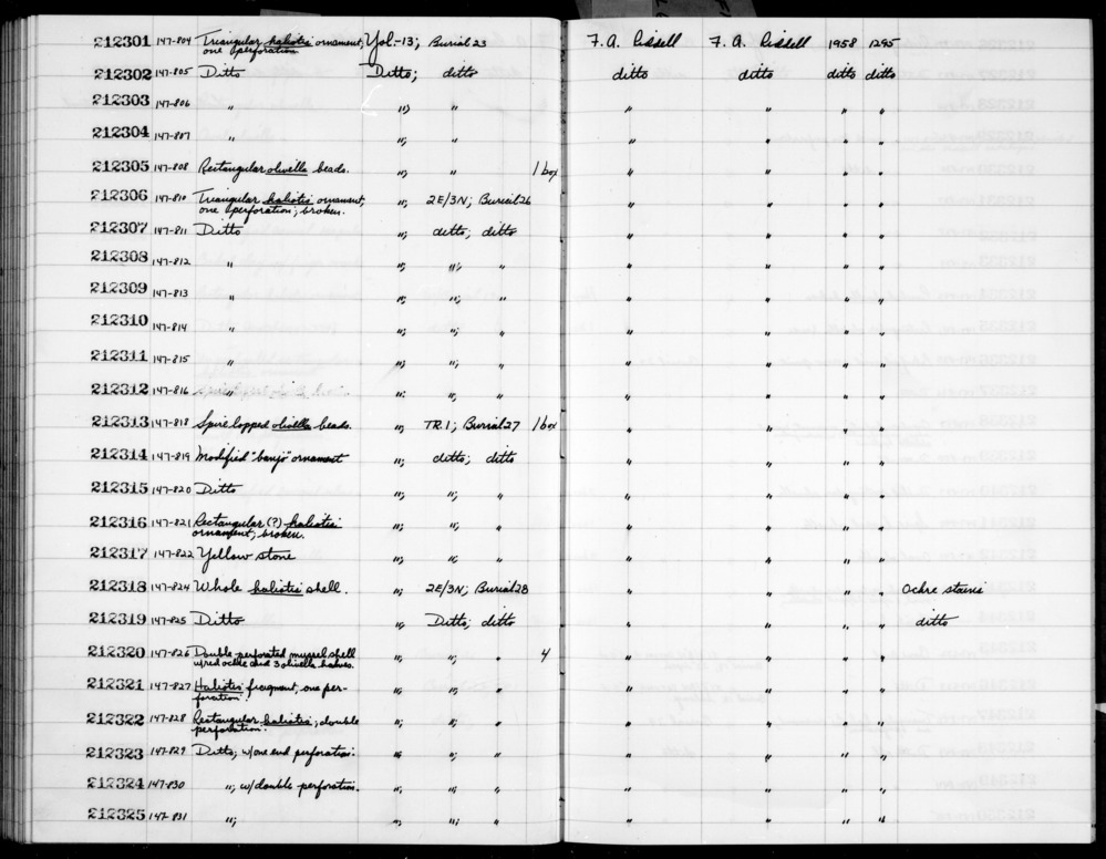 Documentation associated with Hearst Museum object titled Worked shell, accession number 1-212321, described as Haliotis shell fragment; one perforation.