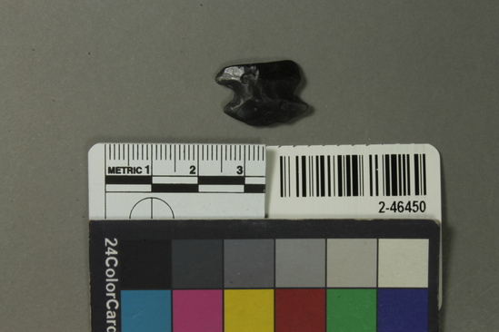 Hearst Museum object titled Projectile point, accession number 2-46450, described as No description given on catalog card.