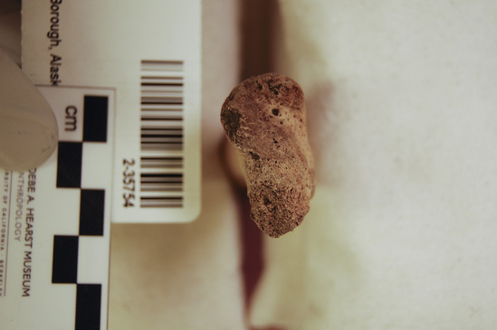 Hearst Museum object 1 of 18 titled Mammal bone, accession number 2-35754, described as Sea otter, right femur