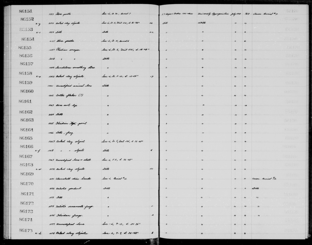 Documentation associated with Hearst Museum object titled Flake, accession number 1-86173, described as Obsidian fragments