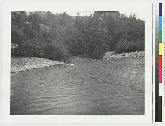 Hearst Museum object titled Black-and-white negative, accession number 15-20854, described as Redwood Creek, near start of the Hupa Trail