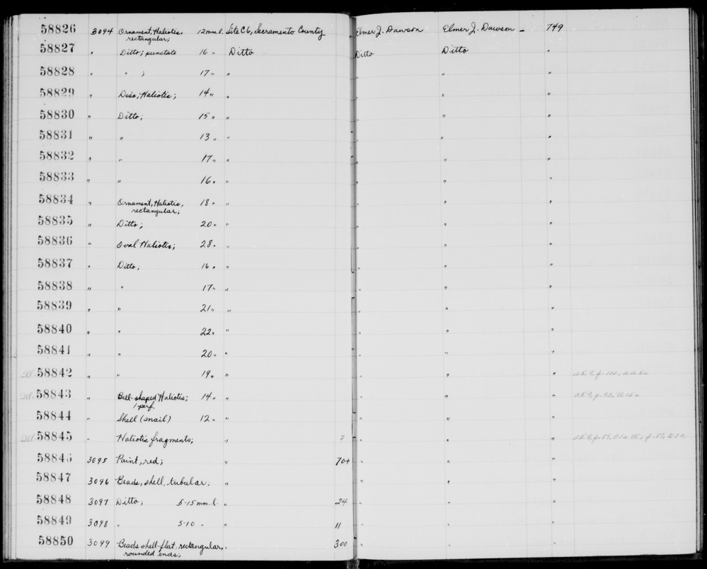 Documentation associated with Hearst Museum object titled Beads, accession number 1-58849, described as Shell, tubular