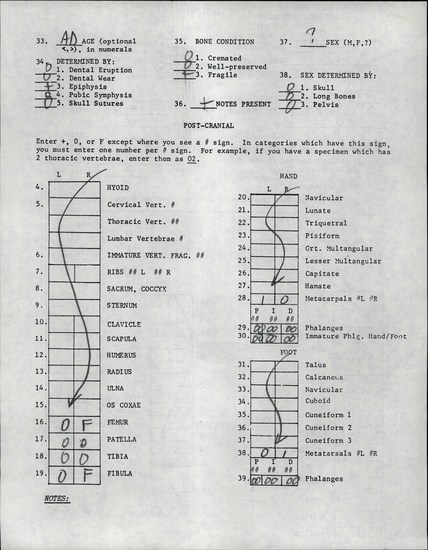 Documentation associated with Hearst Museum object titled Human remains, accession number 12-8744A, described as Remains of one adult, sex unknown.