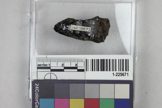 Hearst Museum object titled Point fragment, accession number 1-225671, described as point fragment; obsidian; pressure worked
