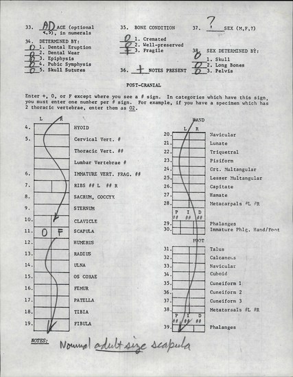 Documentation associated with Hearst Museum object titled Human remains, accession number 12-8748A, described as Remains of one adult, sex unknown.