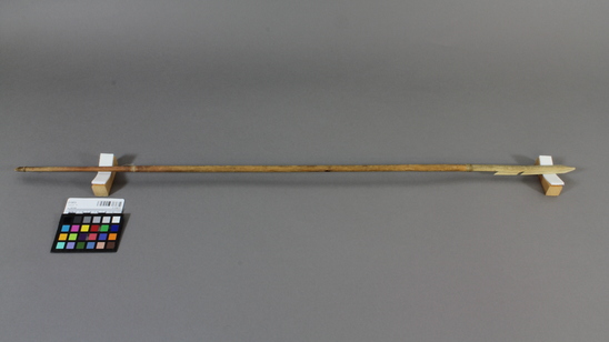 Hearst Museum object 2 of 5 titled Arrow, accession number 2-13572, described as Barbed bone point, feathers missing.