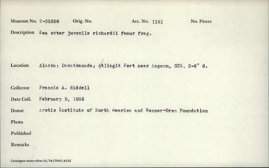 Documentation associated with Hearst Museum object titled Mammal bone, accession number 2-35356, described as Sea otter juvenile richardii femur; fragment