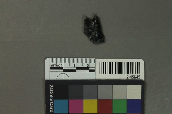 Hearst Museum object titled Projectile point, accession number 2-45645, described as No description given on catalog card.